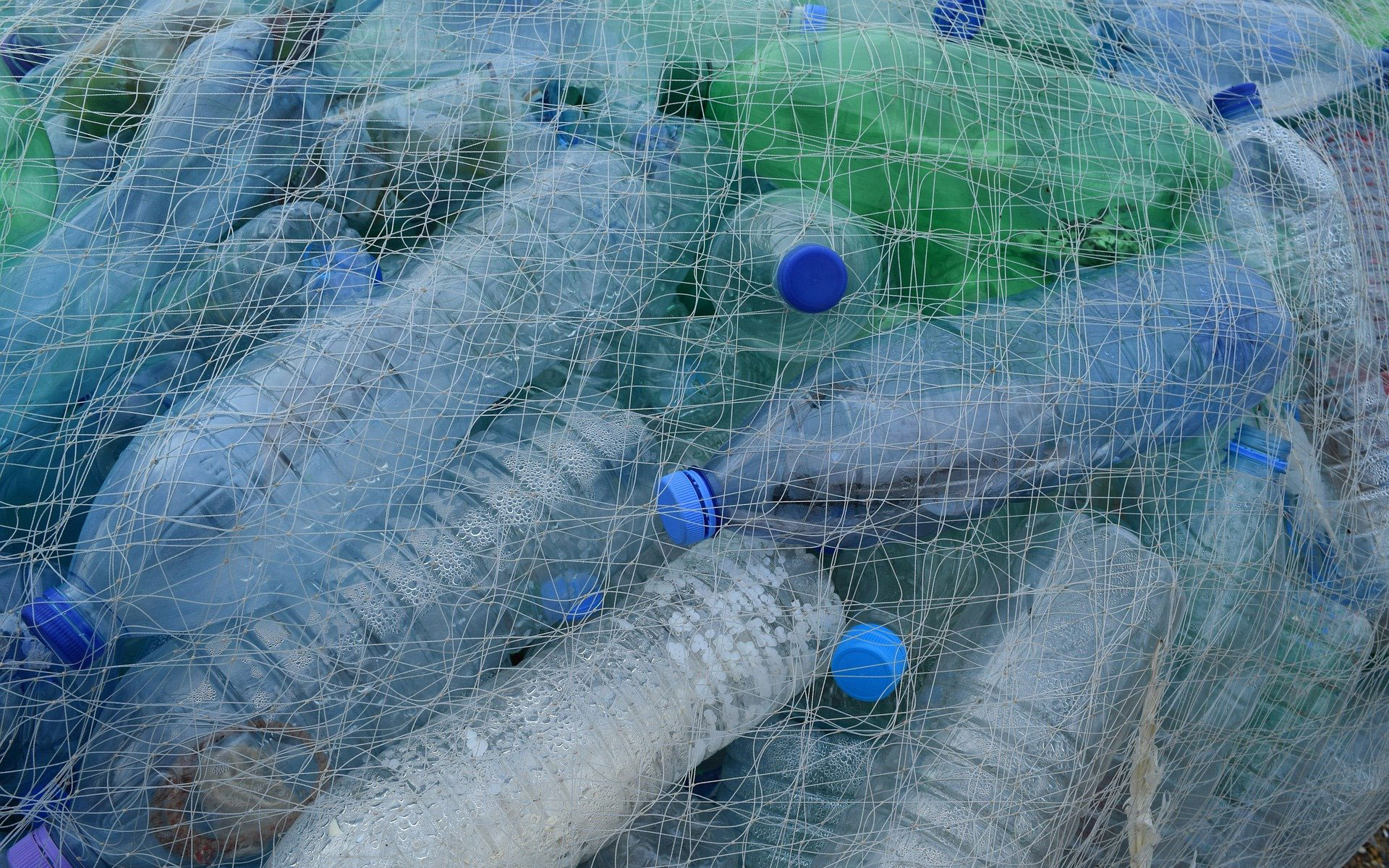 Rifiuti plastica, inquinamento pianeta