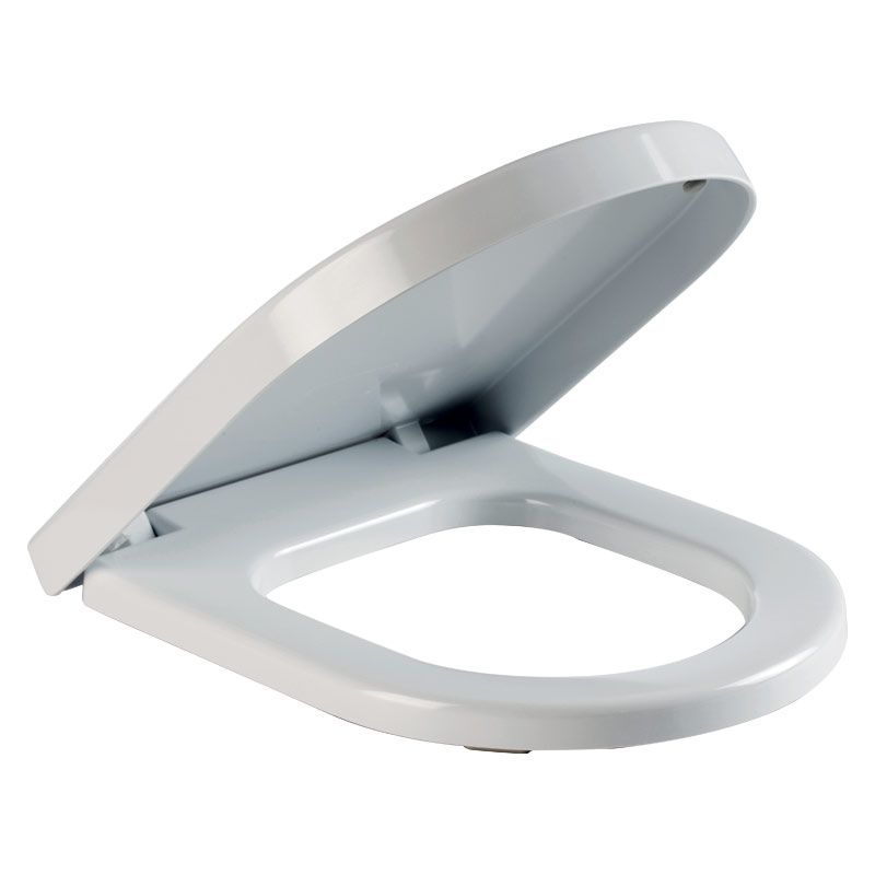 Toilet seat with cover