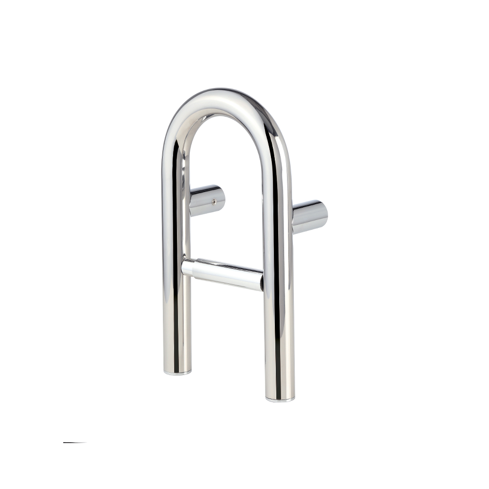 Combination Grab Bar and Toilet Paper Holder