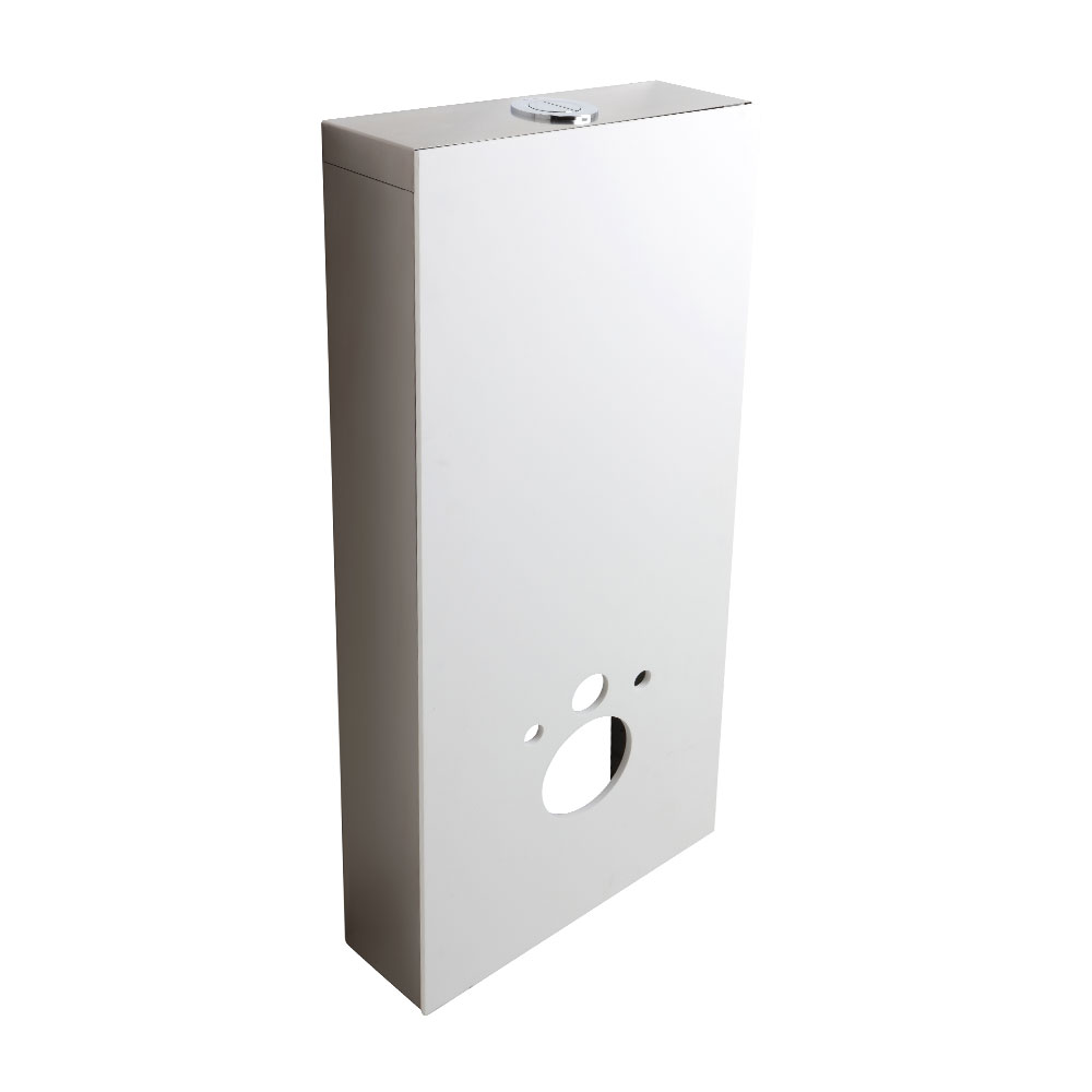 Sanitary module for toilet