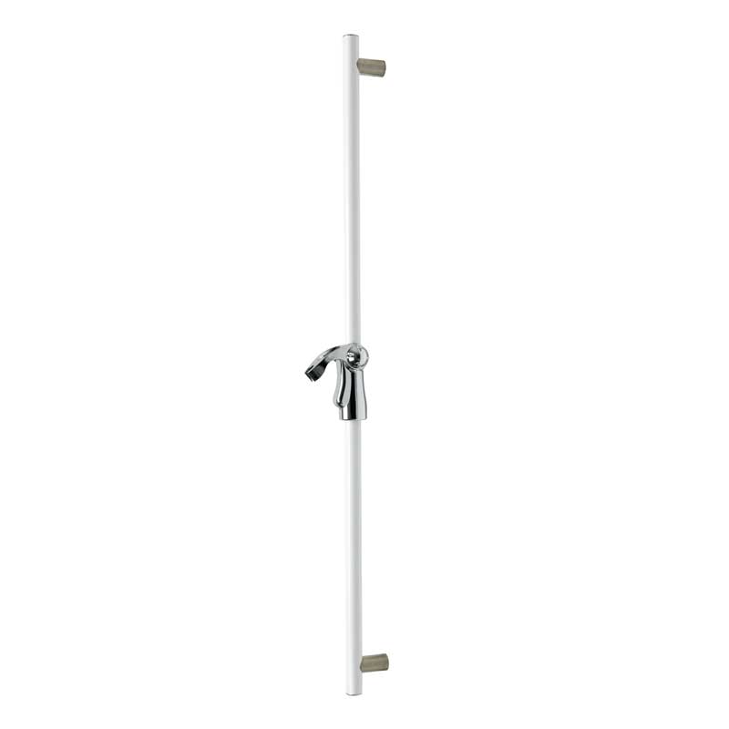 Prestigio Plus Straight 48" Grab Bar with Adjustable Hand Shower Holder