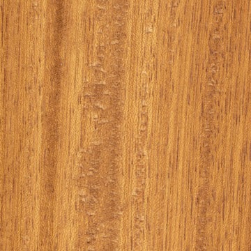 Iroko