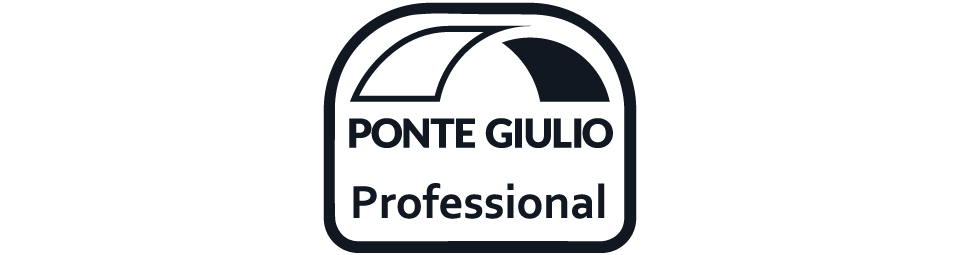Logo divisione professionale
