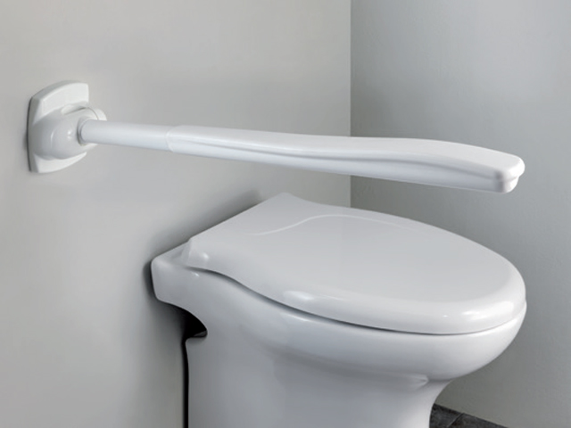 Insights: disabled bathroom, toilet folding safety arm rest bars