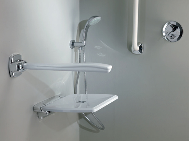 Insights: disabled bathroom, shower folding safety arm rest bars