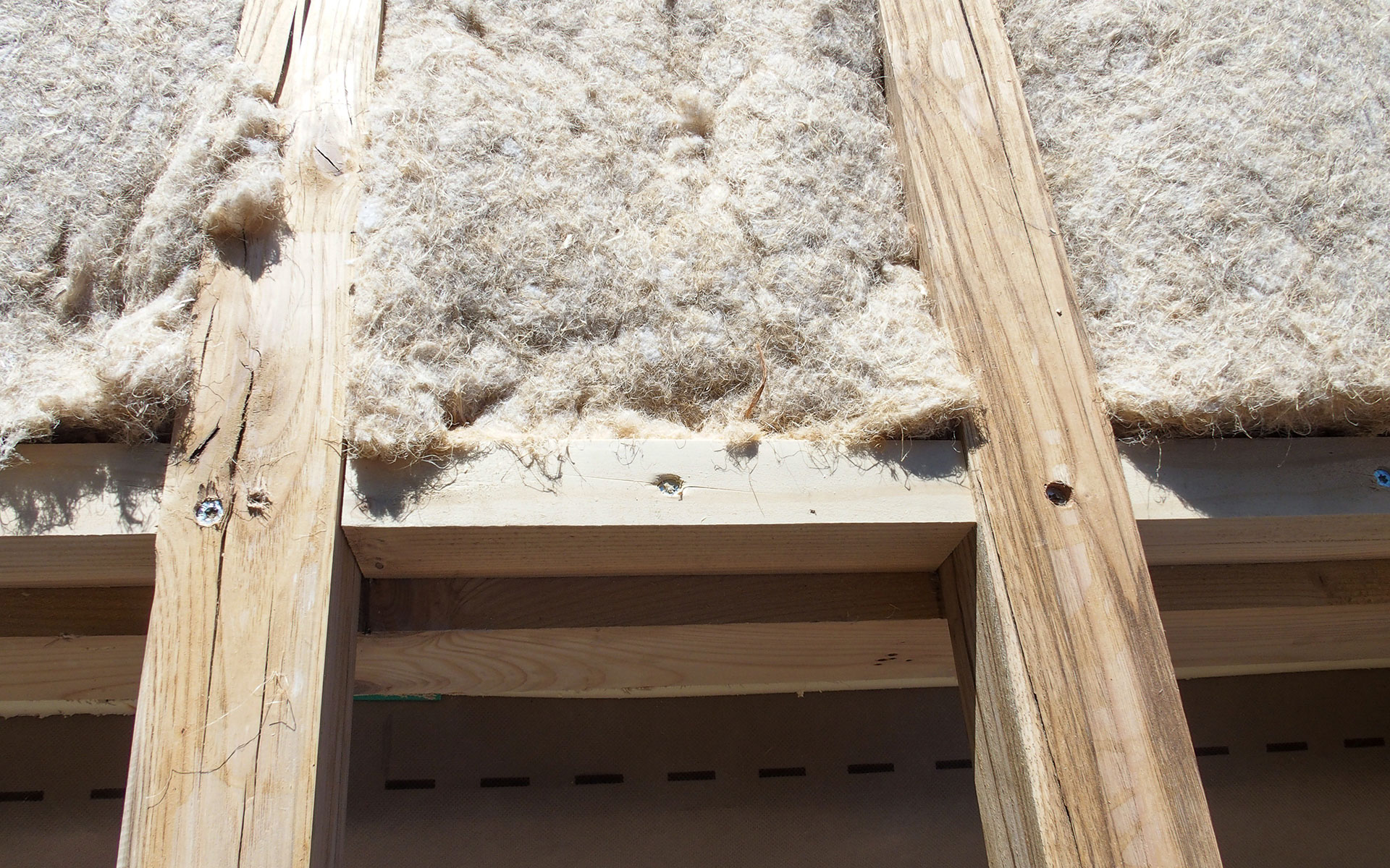 Coperture in bio architettura
