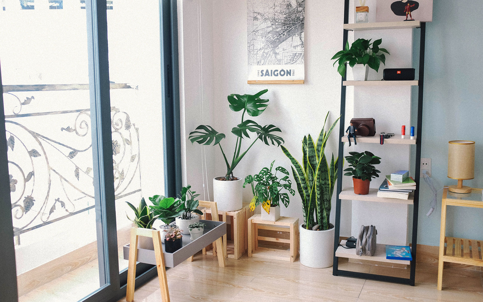 Colore e natura per un design originale