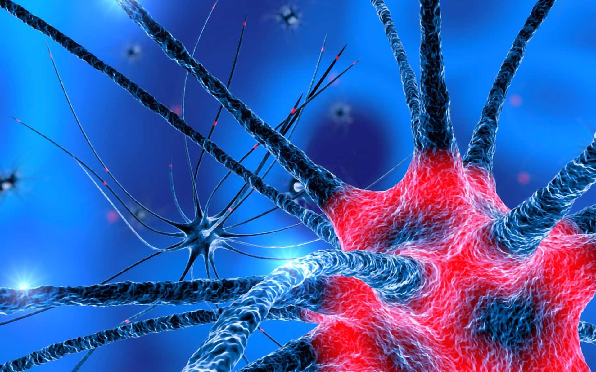 neuropaty damage to peripheral nerves