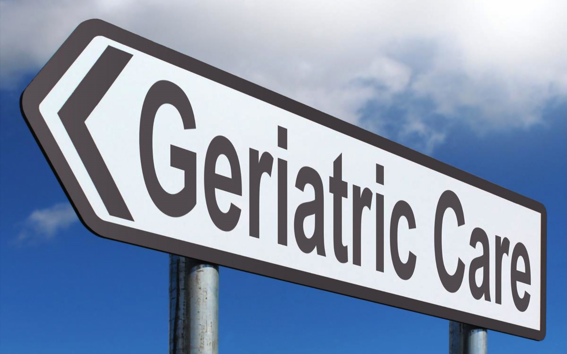 Virtual Geriatric Therapy Summit